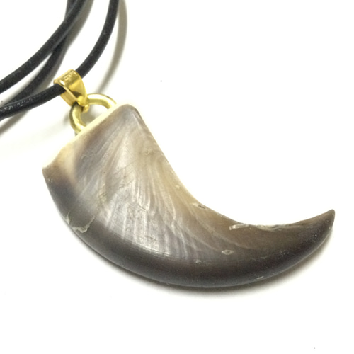熊の爪 ネックレス クマの爪ネックレス | 湯野川広美 web shop