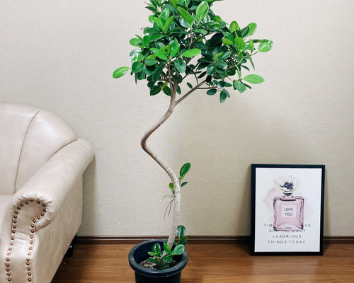 f285db7fce131fda52ae6028cf8d21