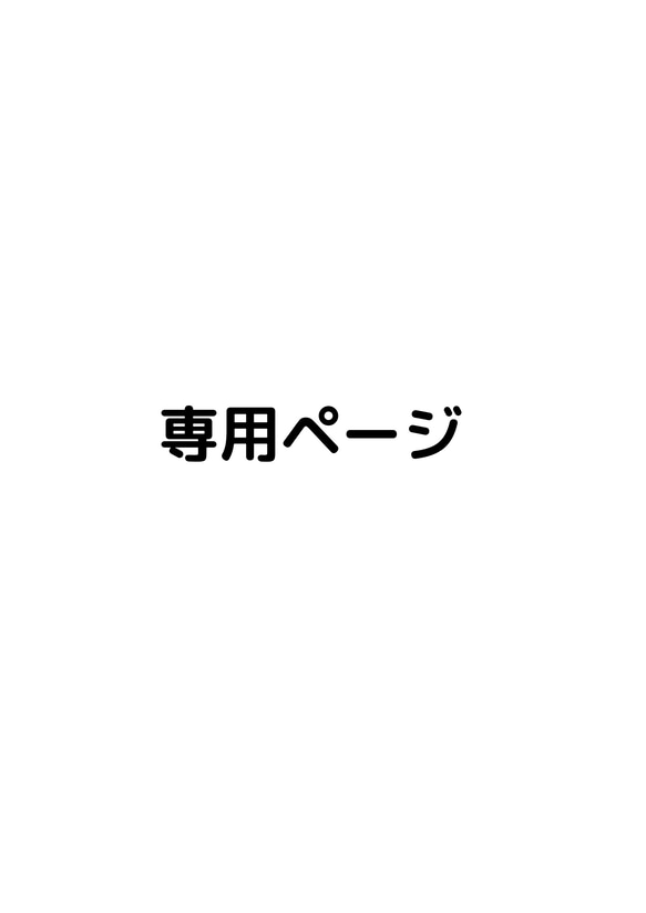 専用ページ 1枚目の画像