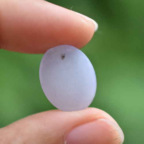 ミャンマー産☆ラベンダージェイドs877 天然石 Funky garuda stone