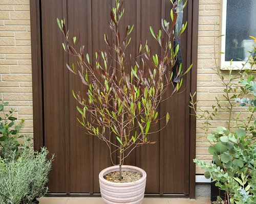 865f5493ff34ee2cb2fb337603c2b6