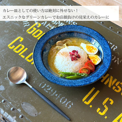 窯元ロングアイランドオリジナル プレート 21cm スープ皿 カレー パスタ 食器 9color /r158 10枚目の画像