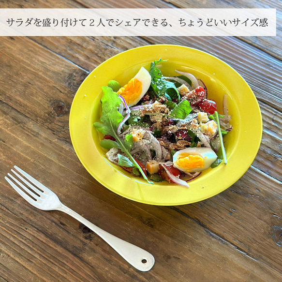 窯元ロングアイランドオリジナル プレート 21cm スープ皿 カレー パスタ 食器 9color /r158 12枚目の画像