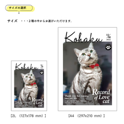 うちのCat　オーダーメイドポスター（インテリア雑誌風） 業務用印刷機/高画質仕上がり　メール便対応 /猫 4枚目の画像