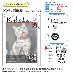 うちのCat　オーダーメイドポスター（インテリア雑誌風） 業務用印刷機/高画質仕上がり　メール便対応 /猫 5枚目の画像