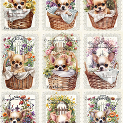 オリジナル 生地 ブロックデザイン ハンドメイド素材 クラフト チワワ