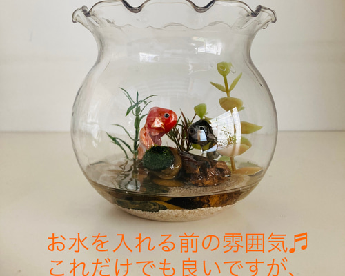 46b43a66a83441fa56be2cac77a7e2