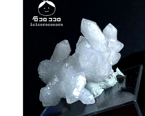 6933e364288a89e58da908bd5b9281