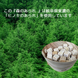 森林冰雹 樹形設計Ⅱ -森林香囊- 第14張的照片