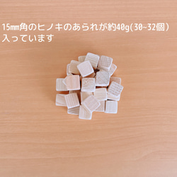 森林冰雹 樹形設計Ⅱ -森林香囊- 第13張的照片