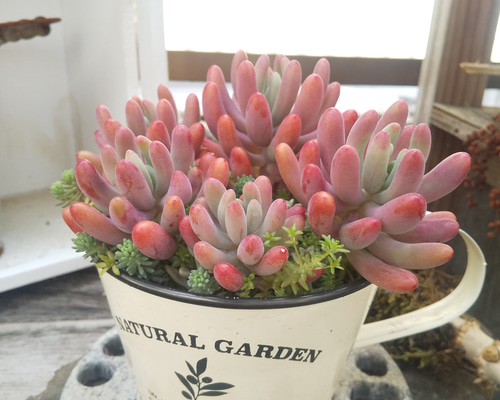 0628ea59204a6122c160a58faa6083