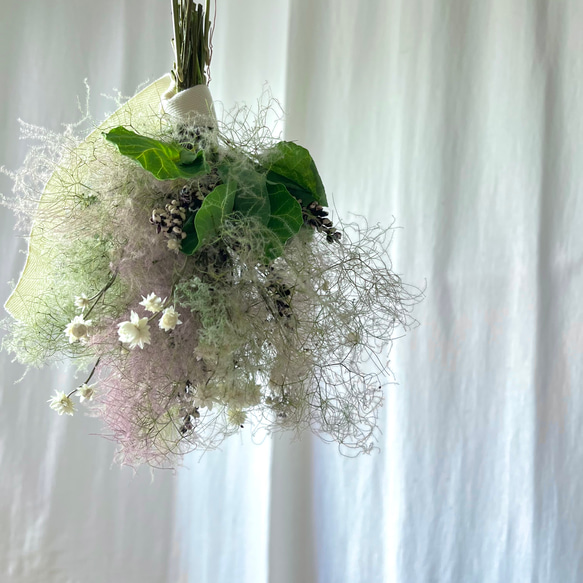 スモークツリーのフライングスワッグ　/ グリーン　ドライフラワー　スワッグ　花束 4枚目の画像