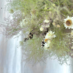 スモークツリーのフライングスワッグ　/ グリーン　ドライフラワー　スワッグ　花束 3枚目の画像