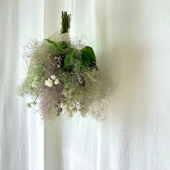 スモークツリーのフライングスワッグ　/ グリーン　ドライフラワー　スワッグ　花束 1枚目の画像