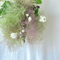 スモークツリーのフライングスワッグ　/ グリーン　ドライフラワー　スワッグ　花束 2枚目の画像