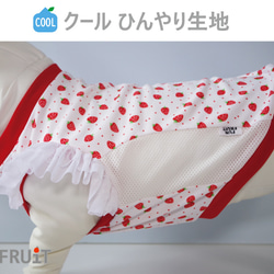 B & C mama　フレブル柄　クールタンクトップ　ハンドメイド 犬服 フレブル タンクトップ フレンチブルドッグ柄 春夏 薄手