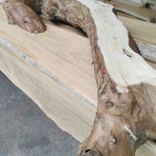 流木飾り台、サルスベリ 【公式通販】