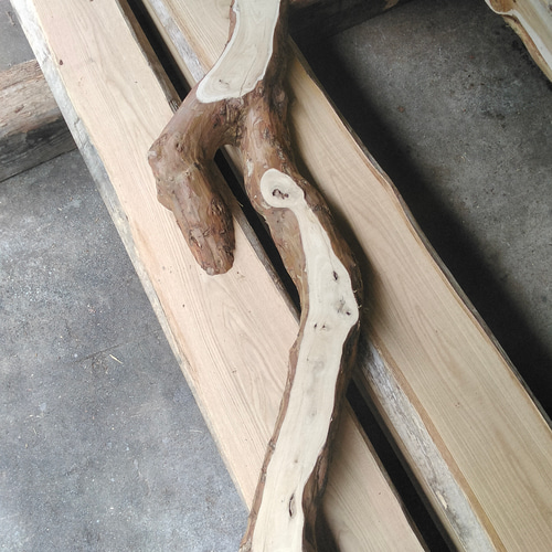 飾り物台 オブジェ さるすべり 素材 木材・板 ハンドクラフト 遊 通販