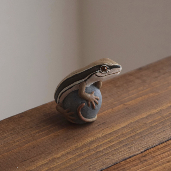 【訂製】岩石上的日本草蜥 第9張的照片