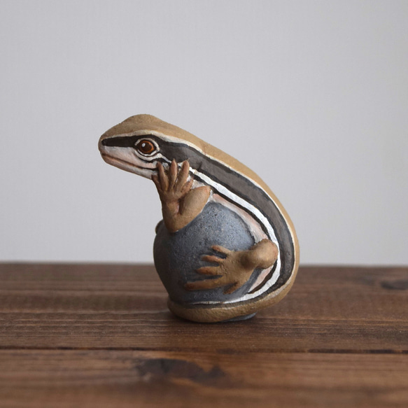 【訂製】岩石上的日本草蜥 第2張的照片