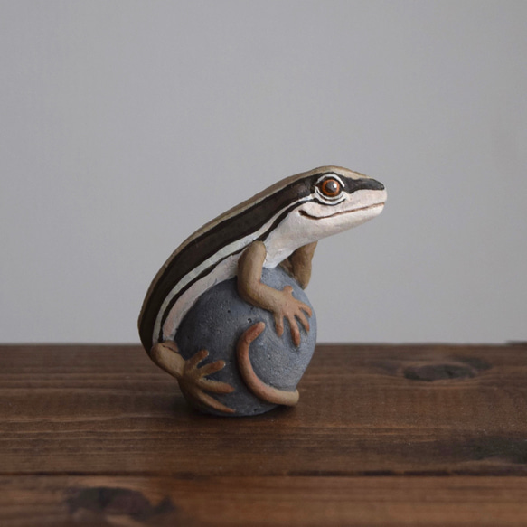 【訂製】岩石上的日本草蜥 第6張的照片