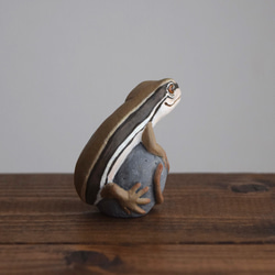 【訂製】岩石上的日本草蜥 第7張的照片