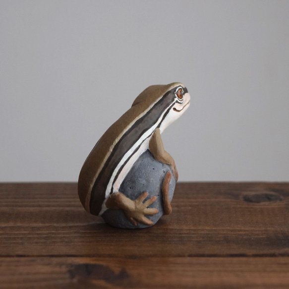 【訂製】岩石上的日本草蜥 第7張的照片