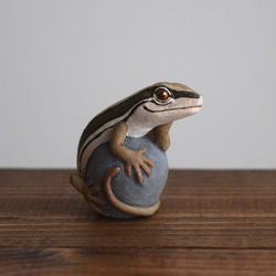 【訂製】岩石上的日本草蜥 第1張的照片