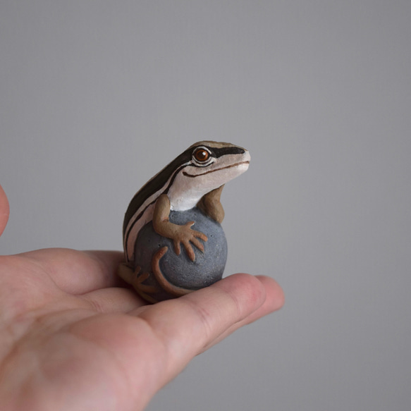 【訂製】岩石上的日本草蜥 第3張的照片