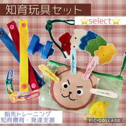ぴ　理科的常識一覧表６種＋2種　まとめセット 理科的常識表 6種セット 小学校受験 家庭学習 おもちゃ・人形 may