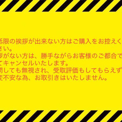 フルーツ　型抜き　クッキー　ミニチュア　フード　粘土　型　 9枚目の画像