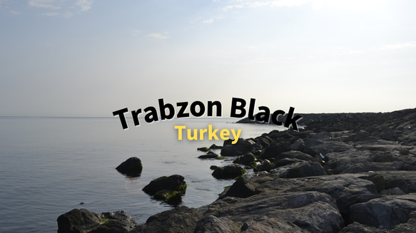国産パーツと上質なアウトドアロープを使ったスマホショルダーストラップ【Trabzon Black】 5枚目の画像