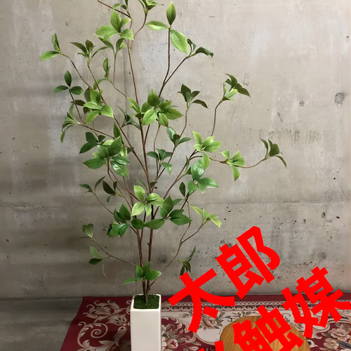 光触媒 人工観葉植物 ウォールグリーン フェイクグリーン クロモジ花器 ...