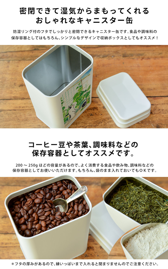 受注製作 キャニスター缶＊保存容器 キャニスター コーヒー 茶筒 お茶 おしゃれ 大人可愛い＊夏 名入れ 文字入れ 3枚目の画像