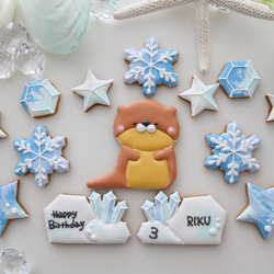 アザラシ　【アイシングクッキー】　オーダー　子供向け　誕生日　人気　かわいい　海 14枚目の画像
