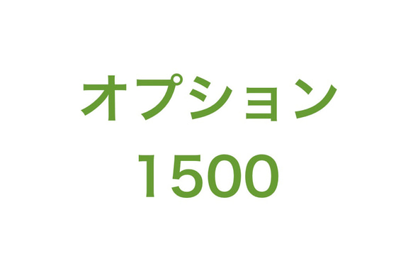 オプション1500 1枚目の画像