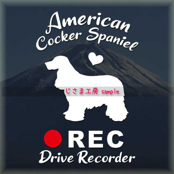 わんちゃんの可愛いドラレコステッカー!!『DRIVE　RECORDER』 1枚目の画像