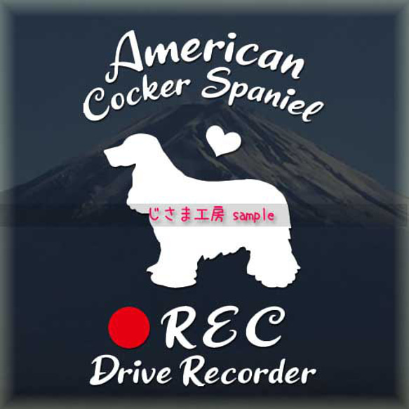 わんちゃんの可愛いドラレコステッカー!!『DRIVE　RECORDER』 1枚目の画像