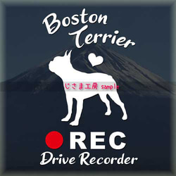 わんちゃんの可愛いドラレコステッカー!!『DRIVE　RECORDER』 1枚目の画像