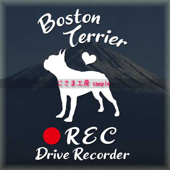 わんちゃんの可愛いドラレコステッカー!!『DRIVE　RECORDER』 1枚目の画像