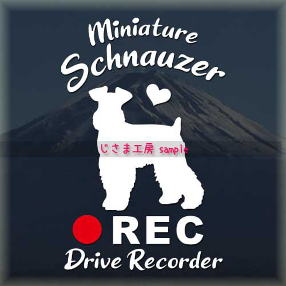 わんちゃんの可愛いドラレコステッカー!!『DRIVE　RECORDER』 1枚目の画像