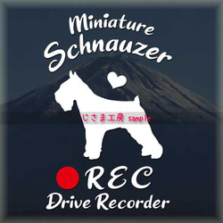 わんちゃんの可愛いドラレコステッカー!!『DRIVE　RECORDER』 1枚目の画像