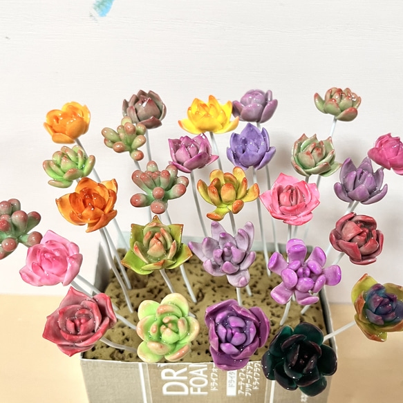 〜そのまま飾れる〜多肉植物寄せ植え(樹脂粘土レジン)粘土細工 1枚目の画像