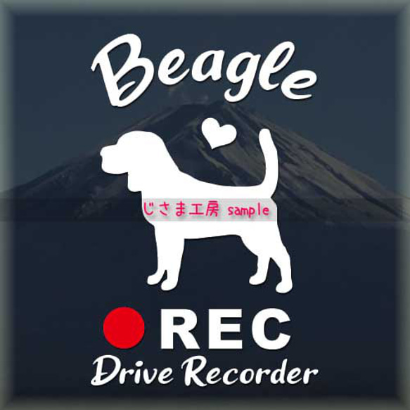 わんちゃんの可愛いドラレコステッカー!!『DRIVE　RECORDER』 1枚目の画像