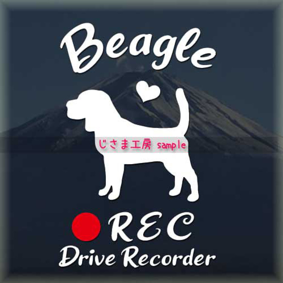 わんちゃんの可愛いドラレコステッカー!!『DRIVE　RECORDER』 1枚目の画像