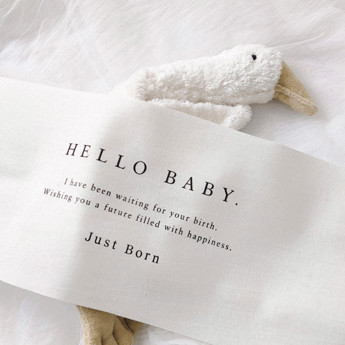 ハローベイビータペストリー　完成品 Hello Baby Tapestry - Just Born | ニューボーンフォト