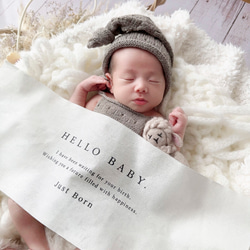 Hello Baby Tapestry - Just Born | ニューボーンフォト | バースデー タペストリー 2枚目の画像