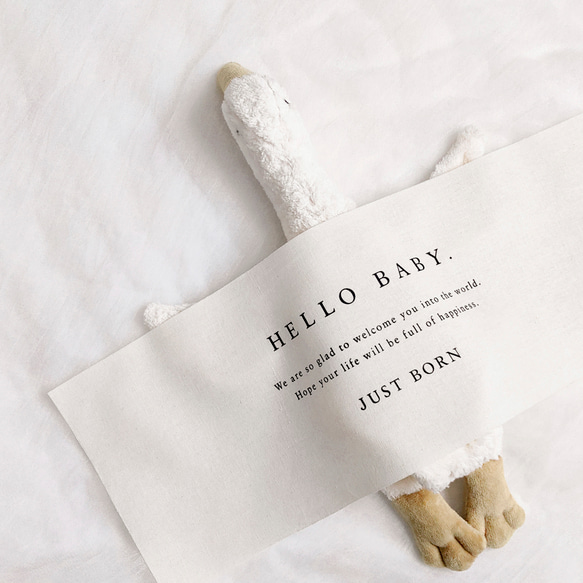 Hello Baby Tapestry - JUST BORN | ニューボーンフォト | バースデー タペストリー 11枚目の画像