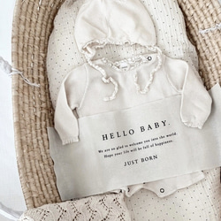 ハローベイビータペストリー　完成品 Hello Baby Tapestry - Just Born | ニューボーンフォト