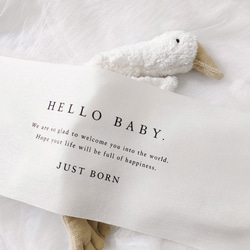 Hello Baby Tapestry - JUST BORN | ニューボーンフォト | バースデー タペストリー 10枚目の画像